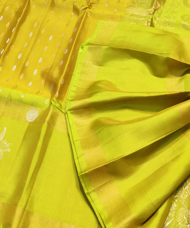 Lightweight Pattu Scurt Border Saree - LWP1077