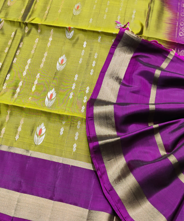 Lightweight pattu Scurt Border Saree - LWP141
