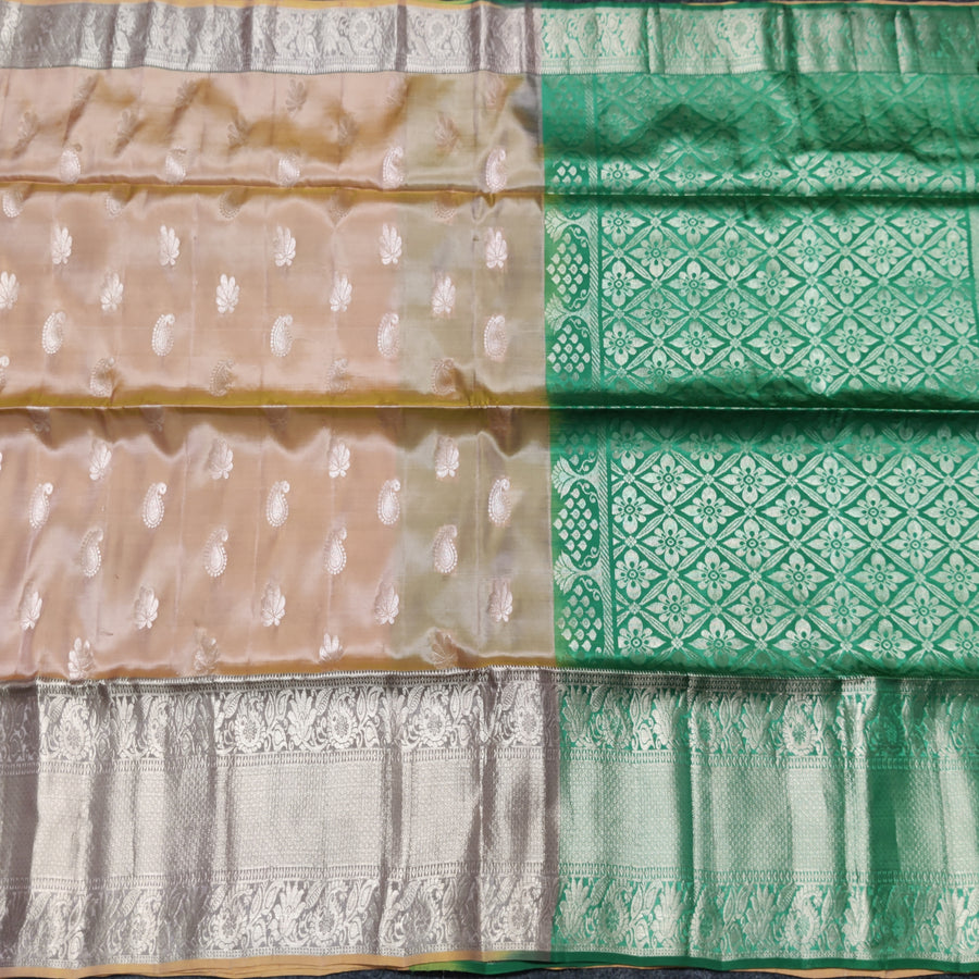 Lightweight pattu - LWP248