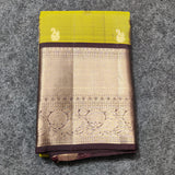 Kanchi Vintage Gap border pattu - KMP249