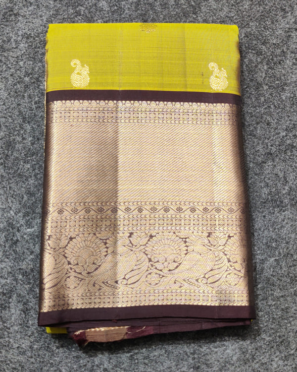 Kanchi Vintage Gap border pattu - KMP249