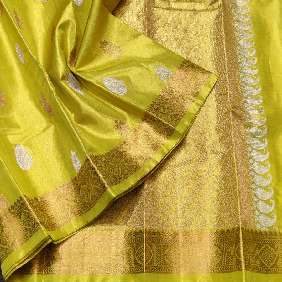 Kanchi Pure Handloom Tissue Silk Saree - KMP240