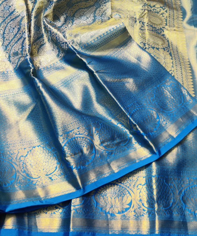 Kanchi Pattu Tissue Silk Saree - HF133