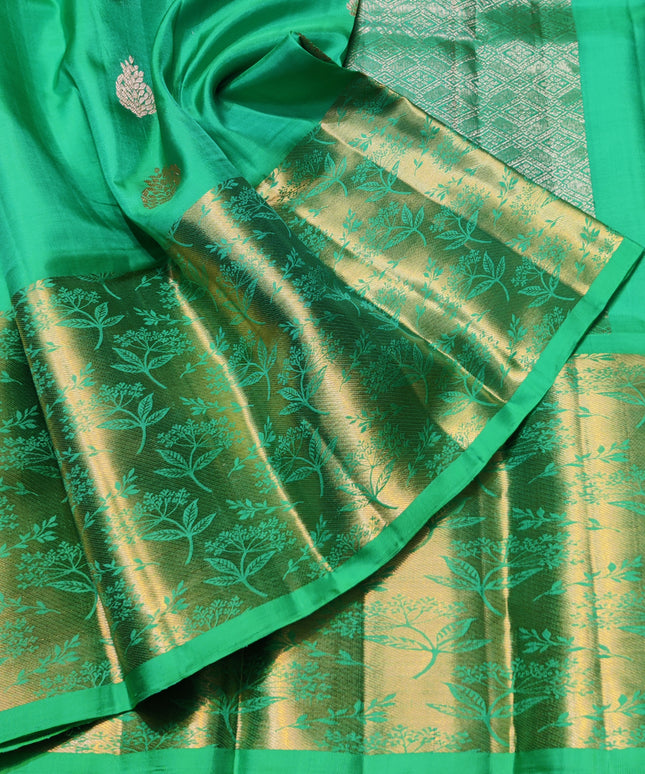 Kanchi pattu pure silk Saree - KMP1556