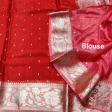 Chinon crepe silk saree -C19