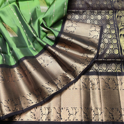 Meenakari kanchi lightweight pattu Saree - KMP3148