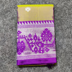 Vaidurya pattu handloom saree - V01