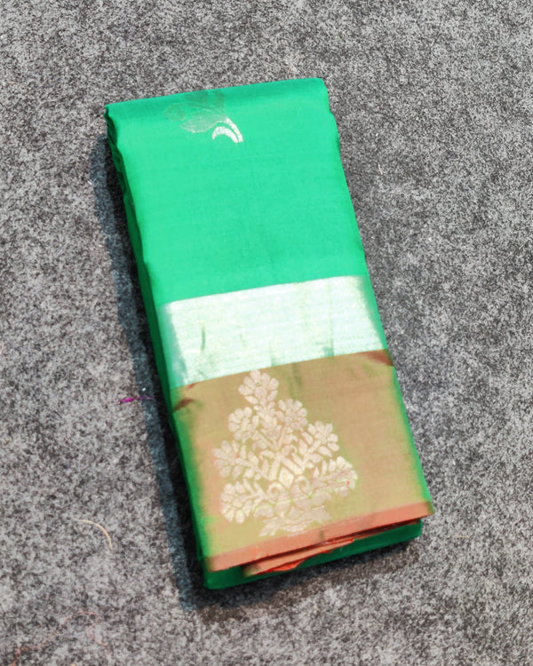 Lightweight Pattu Saree - LWP245