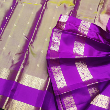 Kanchi Handloom Vintage Gap Border - KMP33