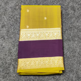 Kanchi Handloom Vintage Gap Border - KMP278