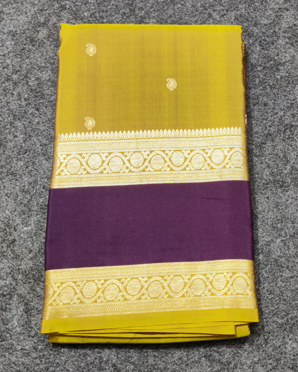 Kanchi Handloom Vintage Gap Border - KMP278