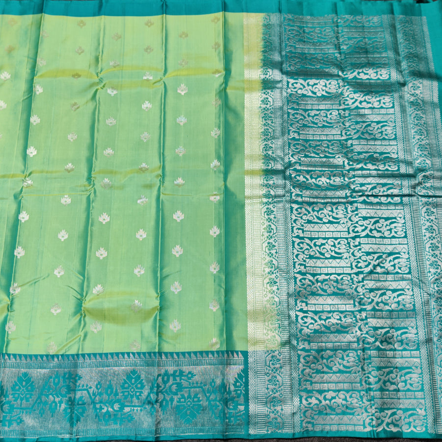 Vaidurya pattu handloom saree - V02