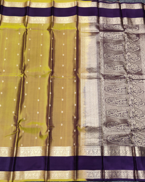 Kanchi Handloom Vintage Gap Border - KMP278 alternate view