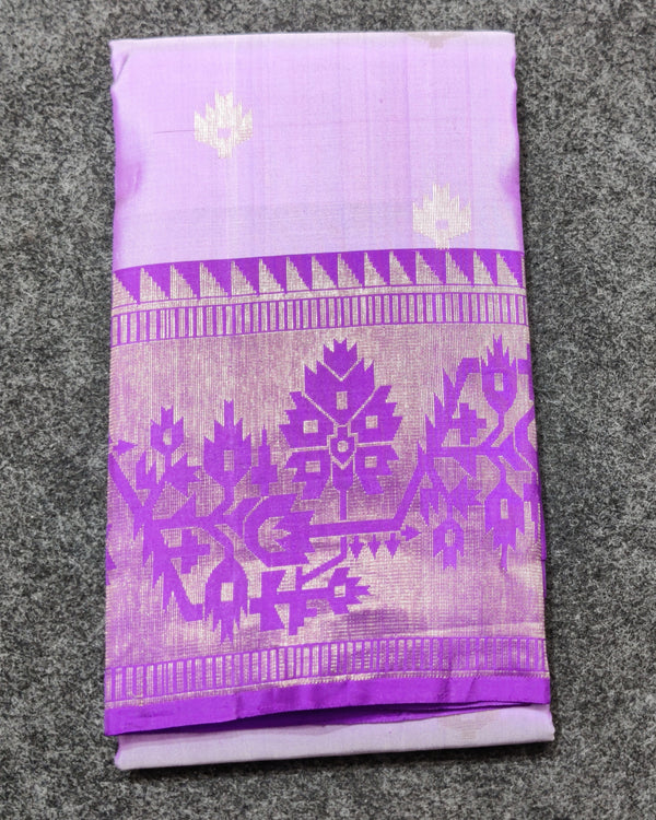 Vaidurya pattu handloom saree - V05