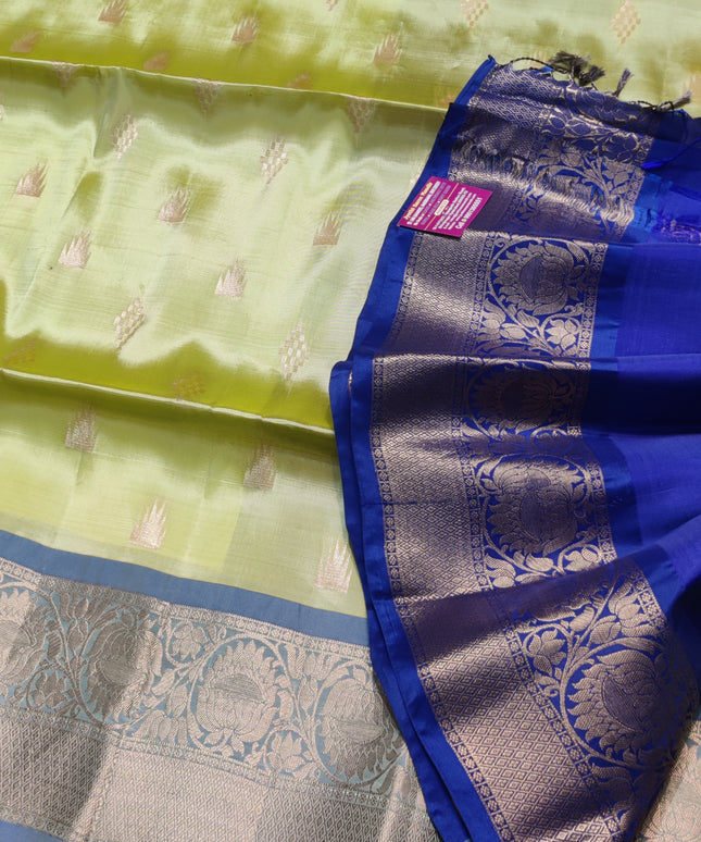 Lightweight pattu - LWP2019