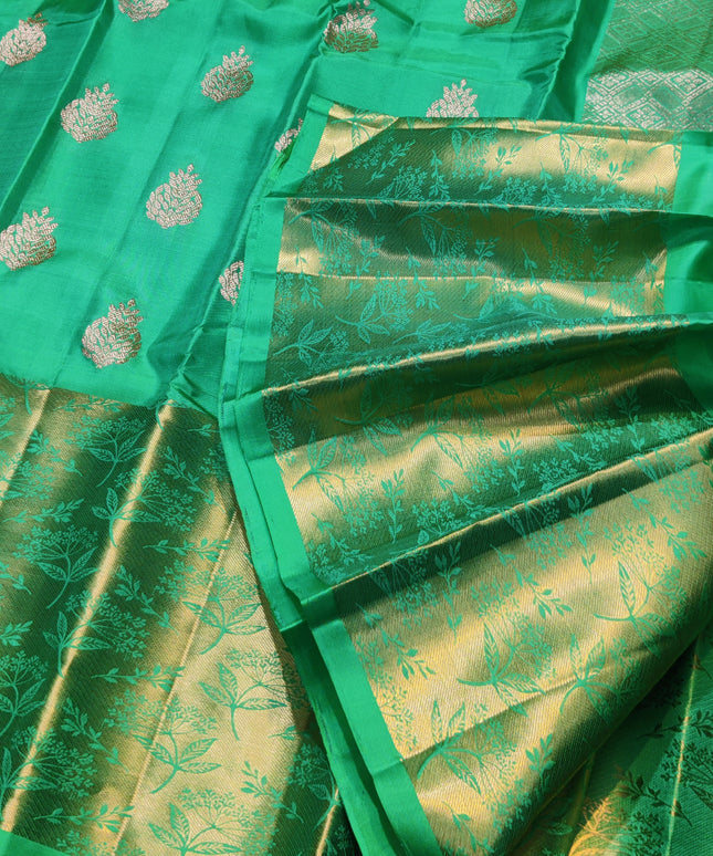 Kanchi pattu pure silk Saree - KMP1556
