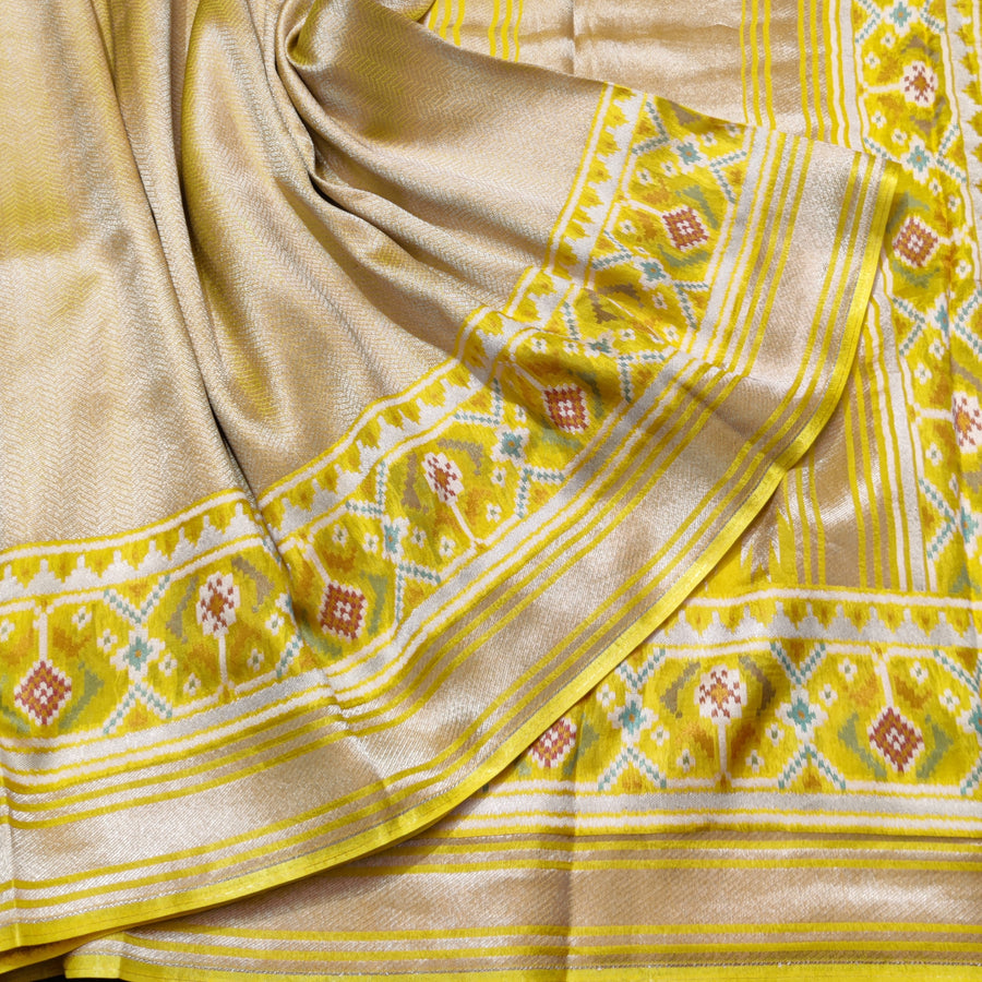 Banaras Tissue Patola silk saree - BRS32