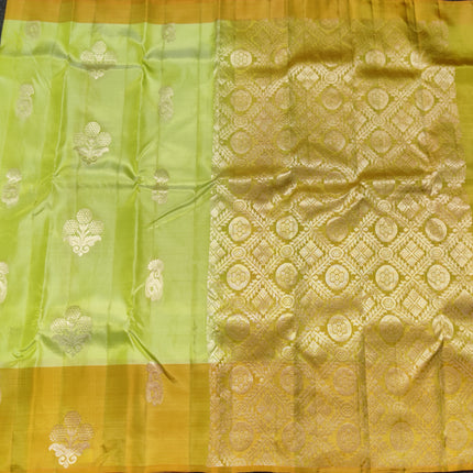 Lightweight Pattu - LWP1181