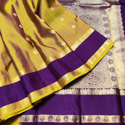 Kanchi Handloom Vintage Gap Border - KMP3004