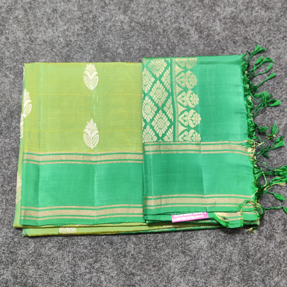Lightweight pattu - LWP343