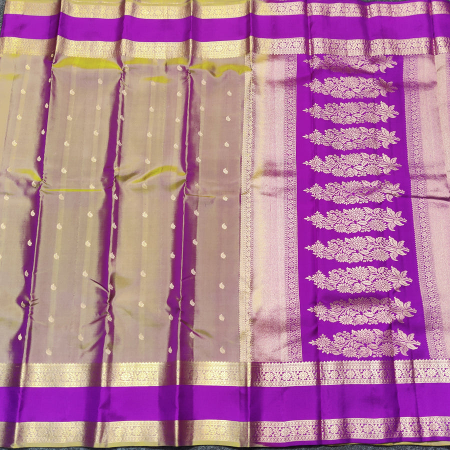 Kanchi Handloom Vintage Gap Border - KMP33