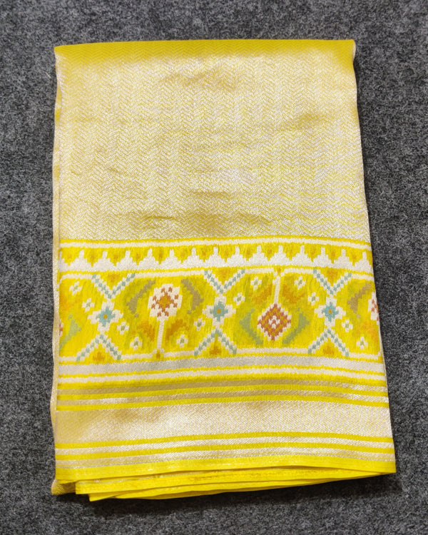 Banaras Tissue Patola silk saree - BRS32