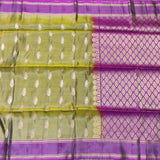 Lightweight pattu - LWP339
