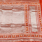 Banaras Tissue Patola silk saree - BRS33