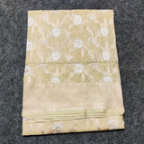 Banaras Tissue Allover Meenakari - BRS44