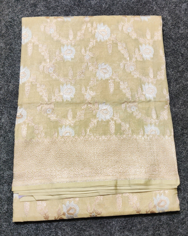 Banaras Tissue Allover Meenakari - BRS44
