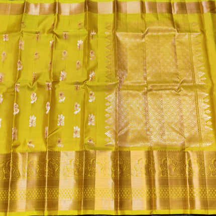 Kanchi pattu pure silk Saree - KMP1559